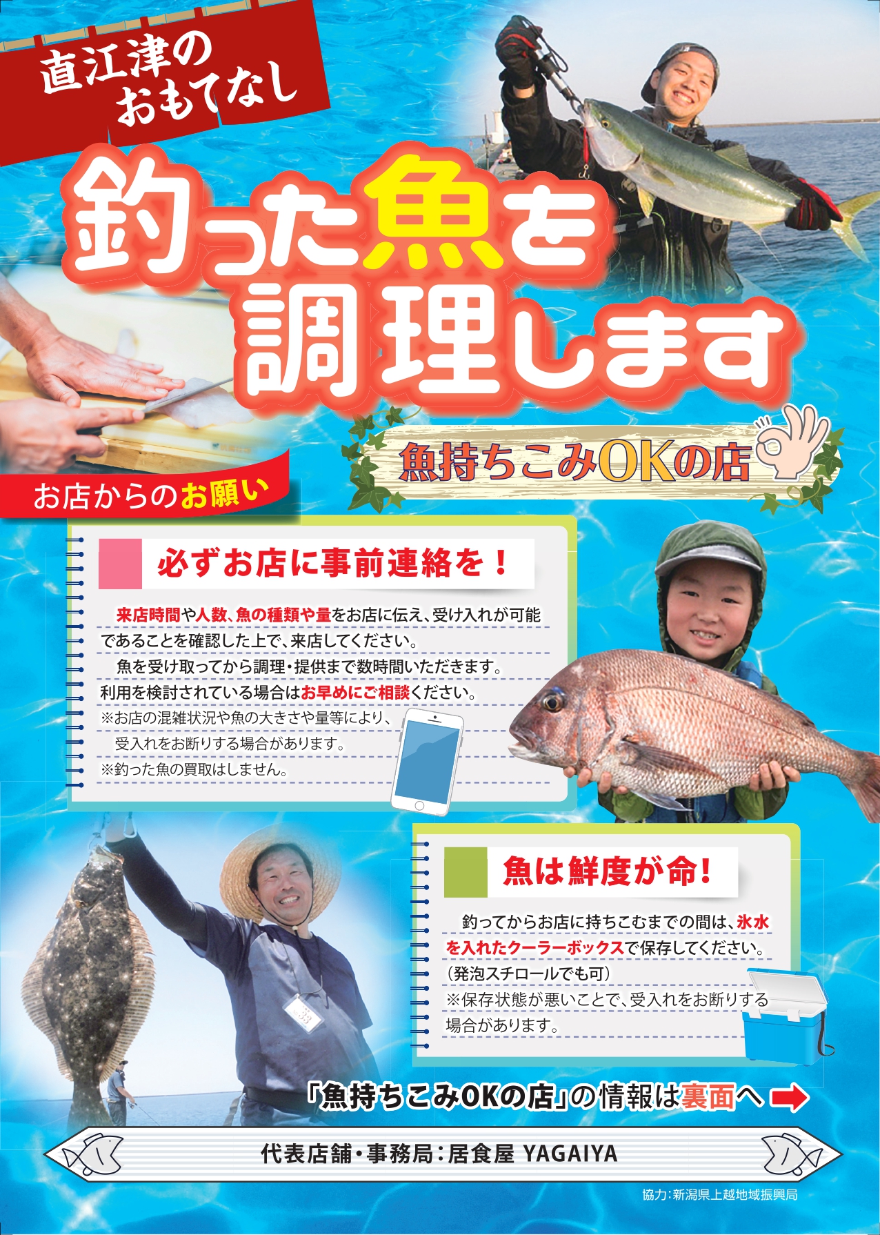 新潟県上越の堤防から狙えるデカいアジを釣る仕掛けを紹介 Camping Scene キャンピングシーン