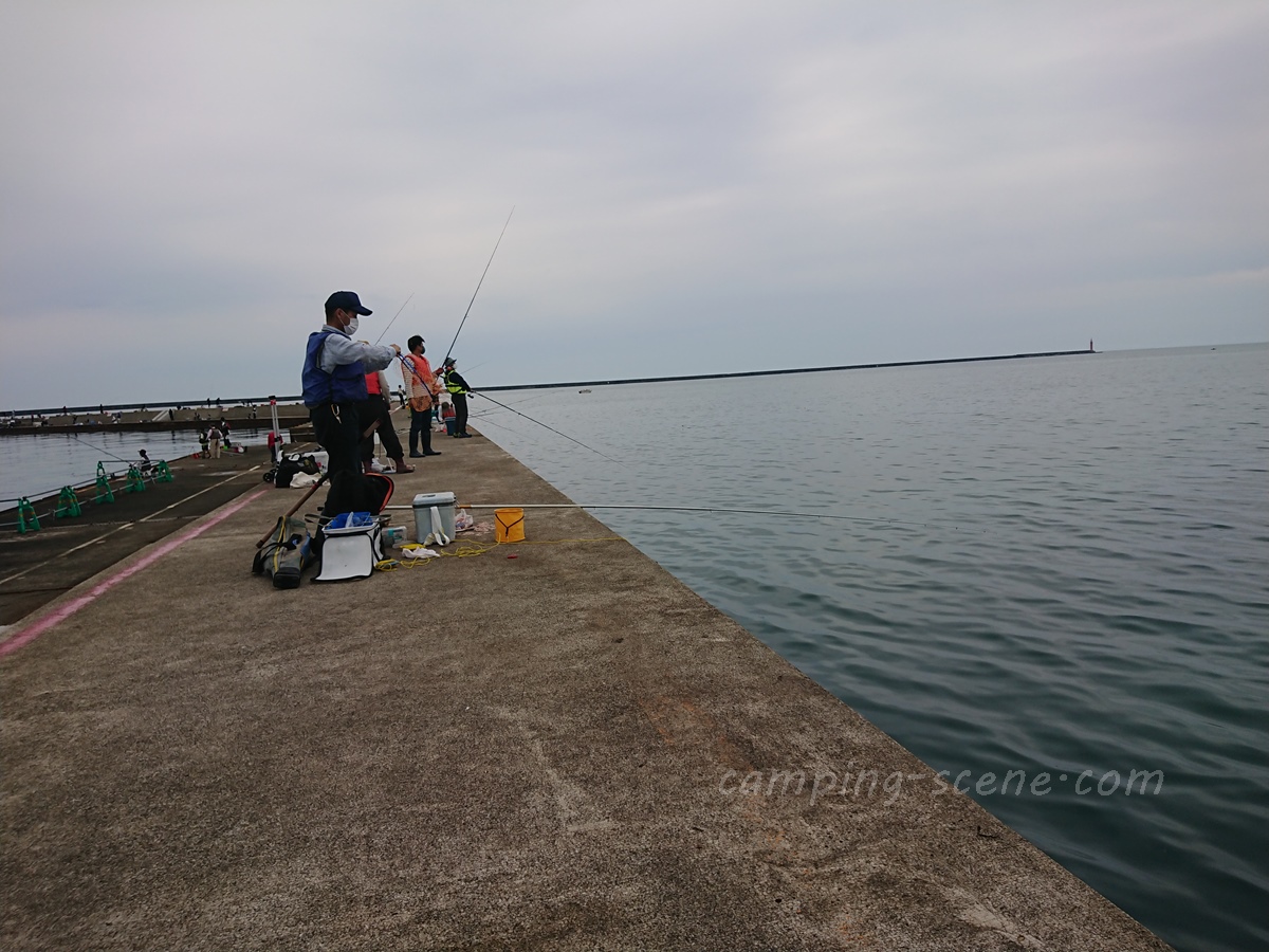 巨大マダイが釣れる堤防 ハッピーフィッシング直江津で遠投カゴ釣りやってみた Camping Scene キャンピングシーン